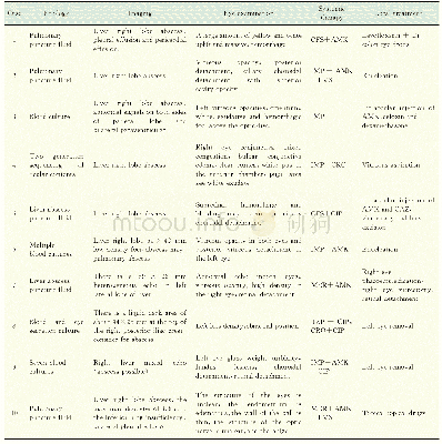 表3 10例患者的影像学表现和治疗Tab 3 Imaging and treatment of 10patients