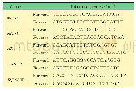 《表1 real-time PCR引物序列》