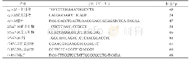 表1 apo M基因、MMP-10基因及内参基因的引物及探针序列