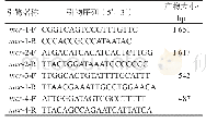 表1 扩增多黏菌素耐药基因mcr引物序列