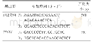 表1 单基因座扩增引物：亲子鉴定中STR基因座来源不明突变的分析