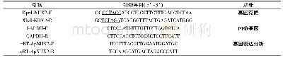 《表1 本研究所用的PCR引物序列》