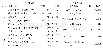 表1 产业结构系统和水资源系统评价指标分类及权重