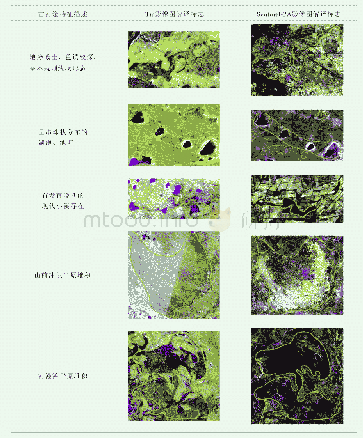 《表2 研究区地表古河道影像特征分类》