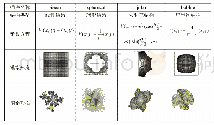 《表1 函数插件：分形在图案形态设计中的应用》