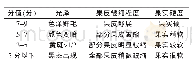 表2 感官评价Tab.2 Sensory evaluation