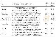 表2 实时定量PCR引物序列及参数