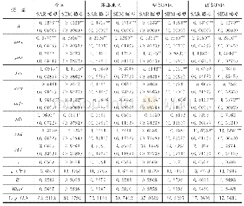 表8 条件β空间收敛模型参数估计及检验结果