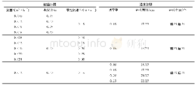 表1 数值水槽及潜坝模型参数Tab.1 Numerical sinks and submerged dam model parameters