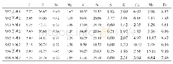 表2 黑彩能谱分析结果（wt.%)