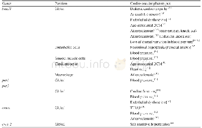 《表1.哺乳动物核心时钟基因缺失后的心血管表型》
