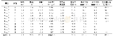 表3 Es2-21-4层系储层评价