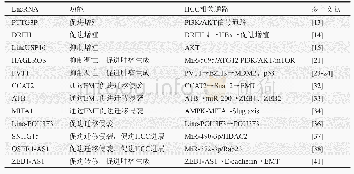 表1 与HCC相关的lncRNAs