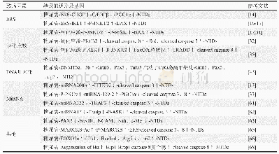 表1 糖尿病致胚胎NTDs相关通路与基因