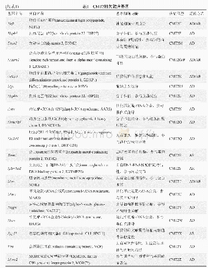 《表1 CMT2相关致病基因》