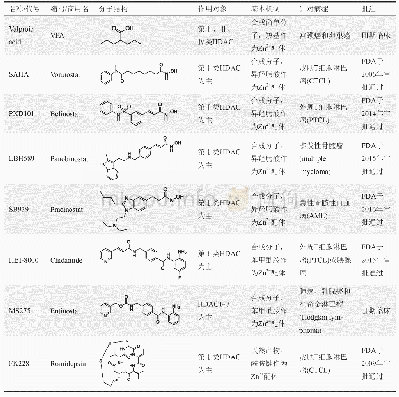 表3 针对第Ⅰ、Ⅱ和Ⅳ类HDAC的抑制剂代表