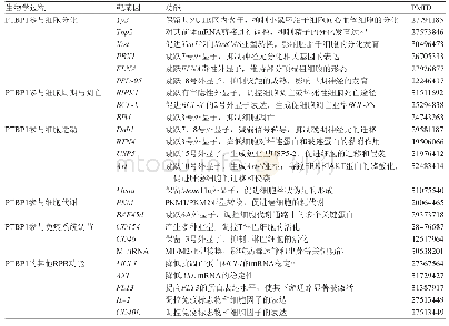 表1 PTBP1的剪接及其他RBP功能