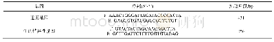 表1 引物序列信息：一种适用于乳制品基因组DNA快速提取方法的研究