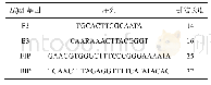 表4 扩增单核细胞增生李斯特氏菌溶血素基因LAMP引物