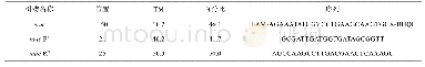 《表1 金黄色葡萄球菌检测引物与探针序列表》