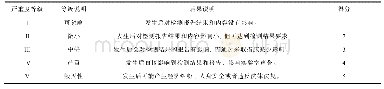 《表2 风险严重程度等级划分》