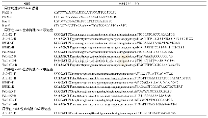 表3 本研究所用到的引物