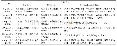 表2(23±2)℃下贮藏20 d的蜂糖李果实感官品质评价