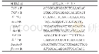表1 引物序列：桑叶生物碱对高脂饮食诱导小鼠肝损伤的改善作用及机理