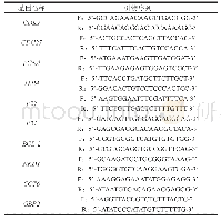 表1 用于定量PCR反应的引物序列