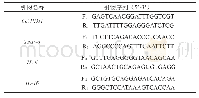 表1 荧光定量PCR引物信息