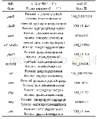 表1 研究中的目的基因与引物序列