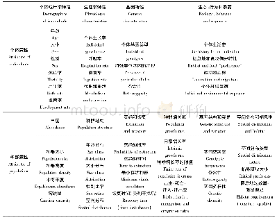表1 个体属性和种群属性的对比[18]