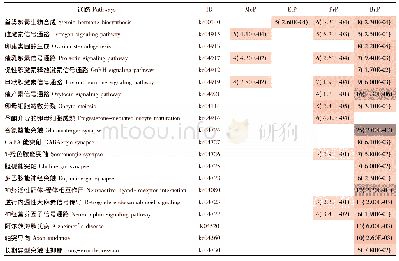 表4 Me P、Et P、Pr P、Bu P和Bz P影响的有关KEGG通路