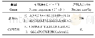 表1 相关基因扩增引物名称及其序列