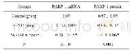 《表2 转染后心肌细胞中PARP-1 mRNA和蛋白水平 (, n=3)》