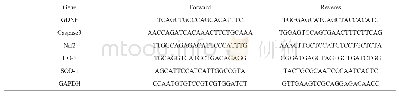 《表1 RT-PCR引物序列》