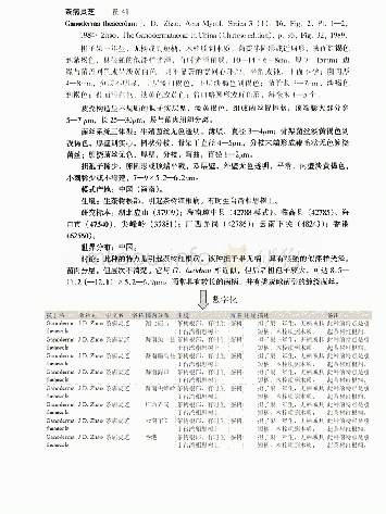附录1《中国真菌志第十八卷灵芝科》数字化示例