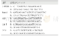 表1 q RT-PCR的引物序列