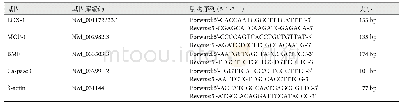 《表1 RT-PCR所用引物序列》