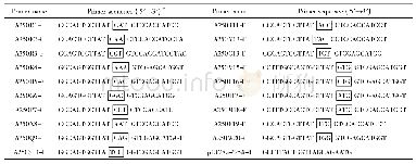 《表1 定点突变体的PCR引物》