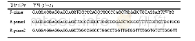 《表1 引物列表：TNF-α纳米抗体的筛选、表达及特异性检测》