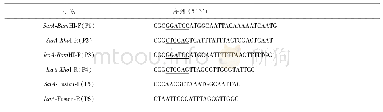 表1 引物序列：金黄色葡萄球菌SarA、IcaA及其融合基因的DNA疫苗构建及在小鼠免疫应答中的初步研究