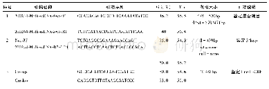 《表2 AEG-1fl/wtCre+小鼠基因鉴定引物信息》