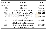 《表1 所用菌株和质粒：大肠杆菌合成生物基塑料单体5-氨基戊酸的代谢工程》