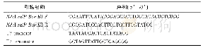 表2 所用引物：大肠杆菌合成生物基塑料单体5-氨基戊酸的代谢工程
