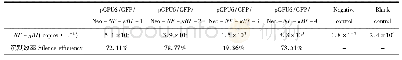 《表2 重组质粒干扰NF-κB1基因的效率比较》