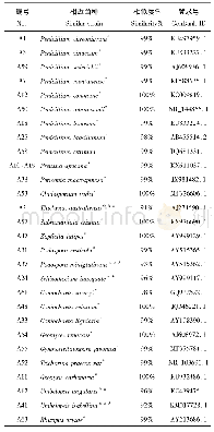 表2 绿皮地卷内生真菌代表菌株的ITS r DNA区序列的相似性分析