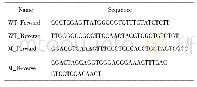 《表2 AQP1 mRNA 3&#039;UTR野生型及突变型引物序列》