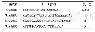 表1 鉴定黄鼠所用引物序列及其组合
