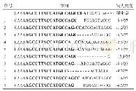 表5 sgRNA1靶点基因型分析